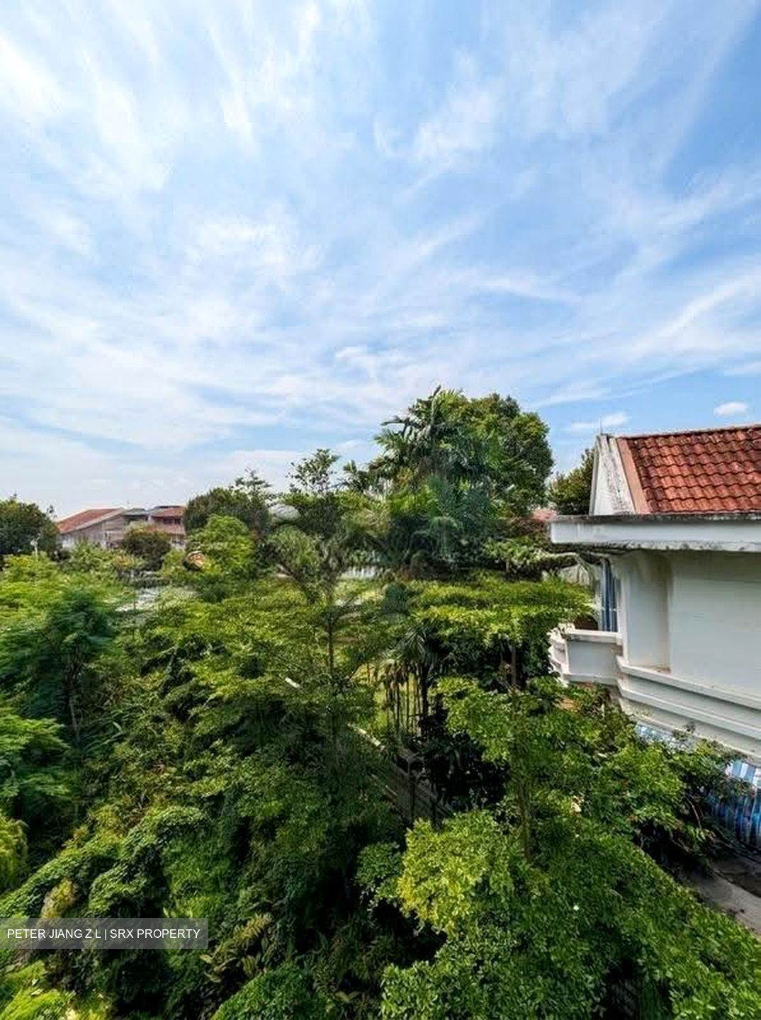 View at Kismis (D21), Apartment #639573841